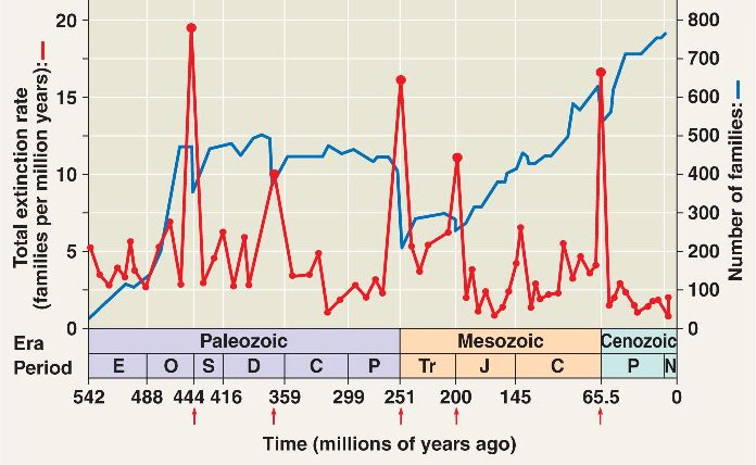 extinctions-html-25-14massextinctiondiv-l-jpg