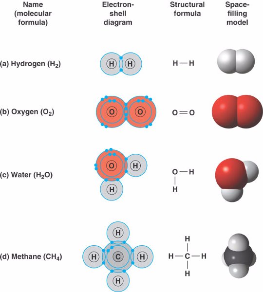 double covalent bond