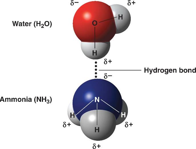 oxygen charge and nitrogen charge